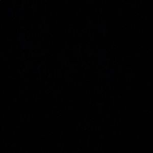 Meet your Posher, Franchesca